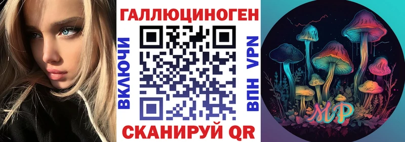 где продают наркотики  Аркадак  Галлюциногенные грибы Psilocybine cubensis 